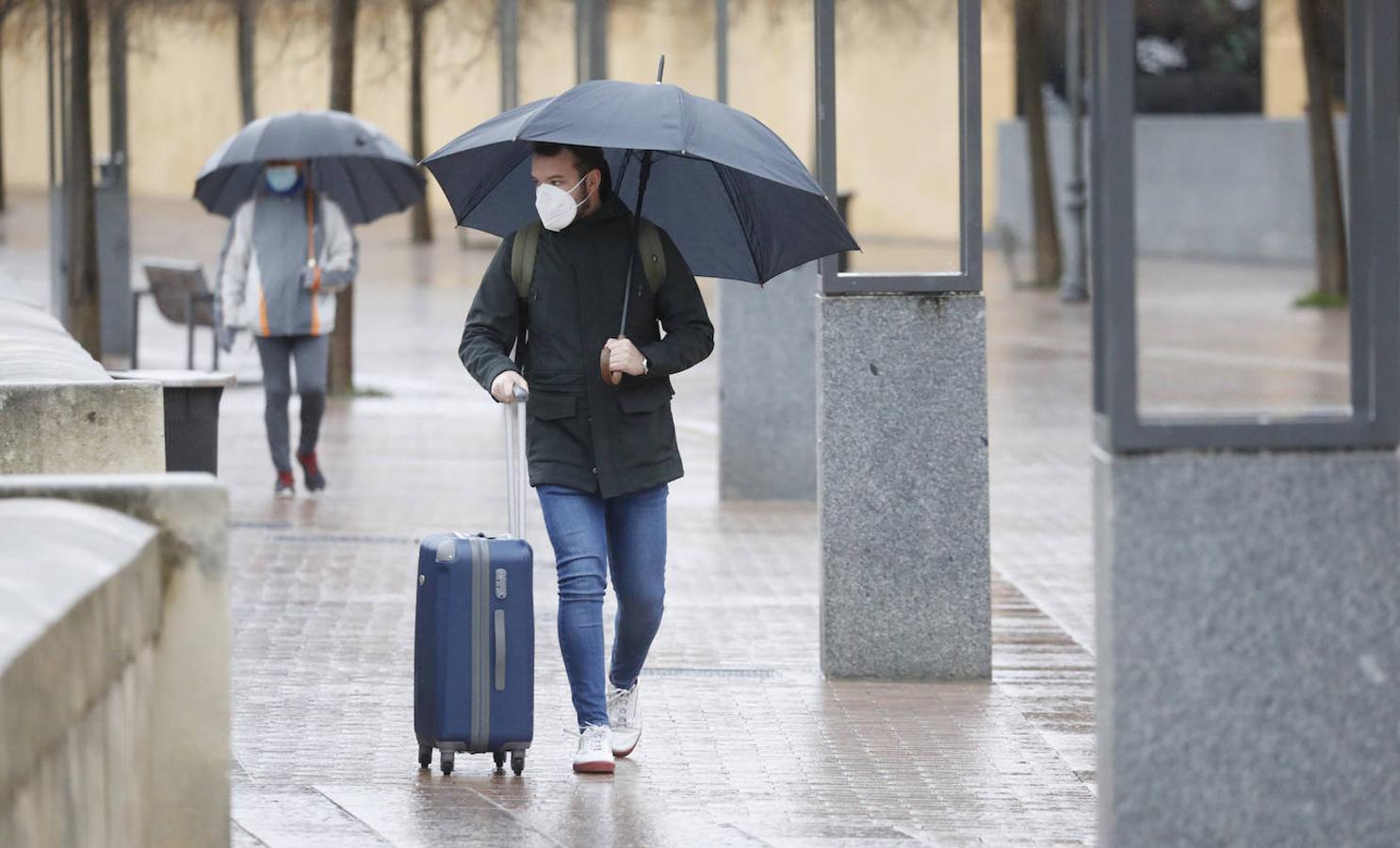 Borrasca Filomena | Mañanas de frío y lluvia invernal en Córdoba