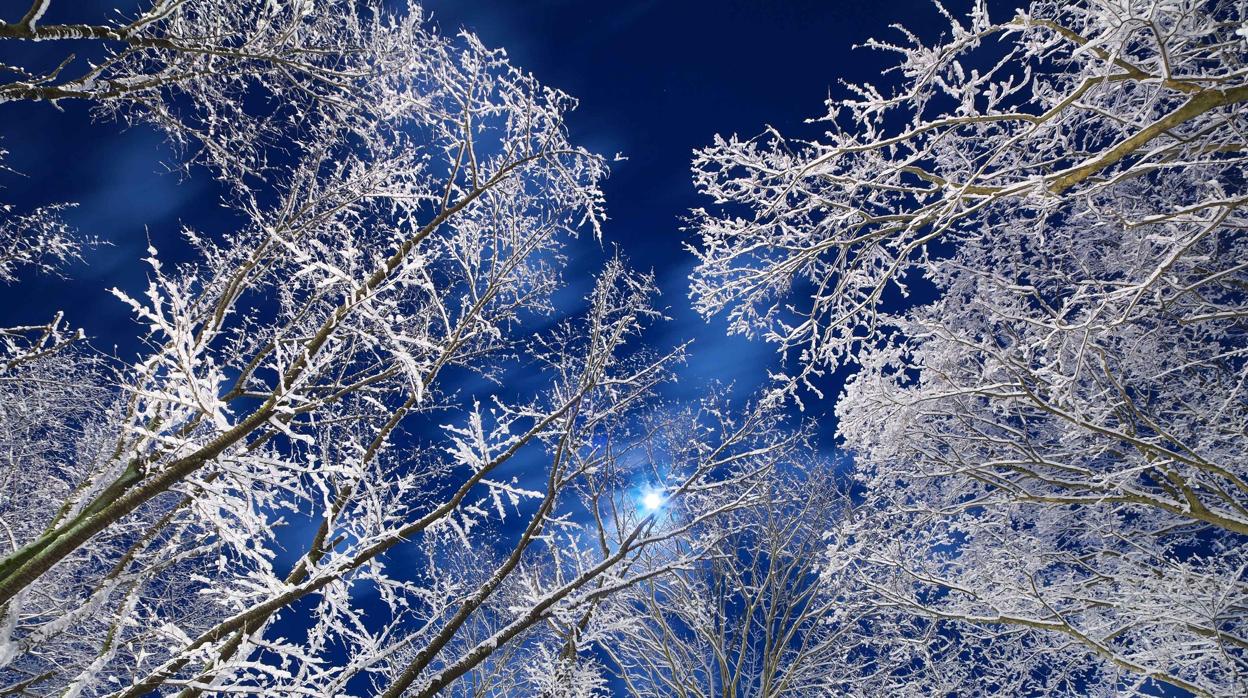 Nieve, rayos, hielo... las fotos del año de la Organización Meteorológica Mundial