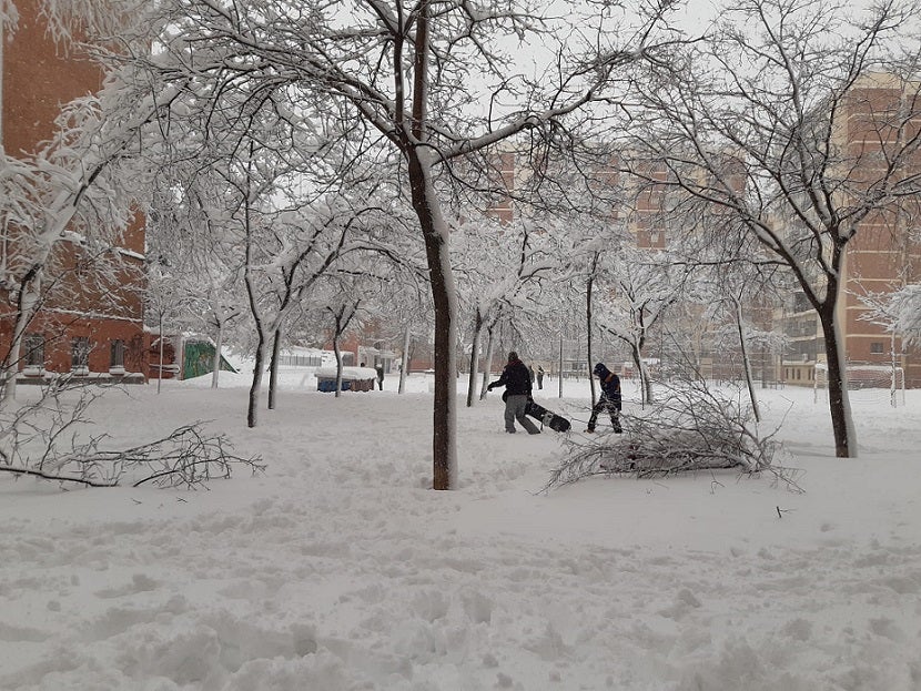 Plaza de Verín, en el Barrio del Pilar, distrito Fuencarral-El Pardo (Madrid). 