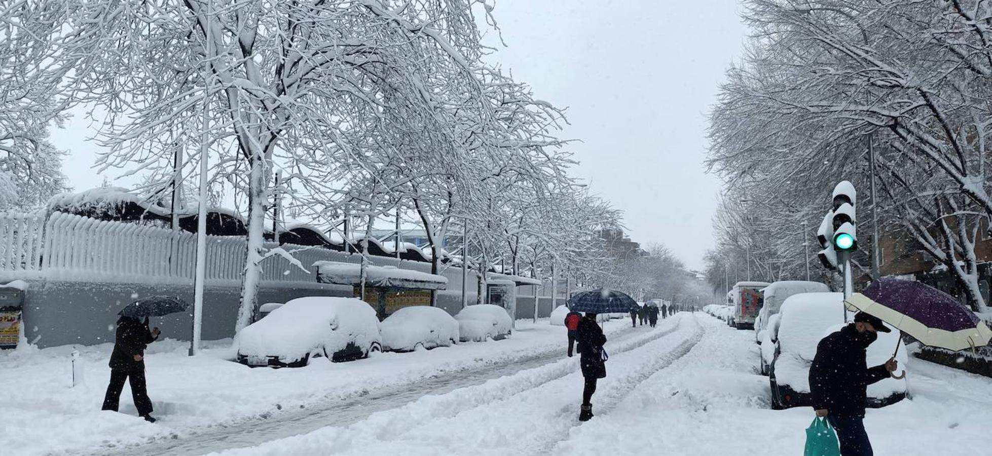 Carabanchel, en blanco. La nieve no ha dado tregua tampoco a los madrileños de Carabanchel, En la imagen, el polideportivo de La Mina, apenas reconocible