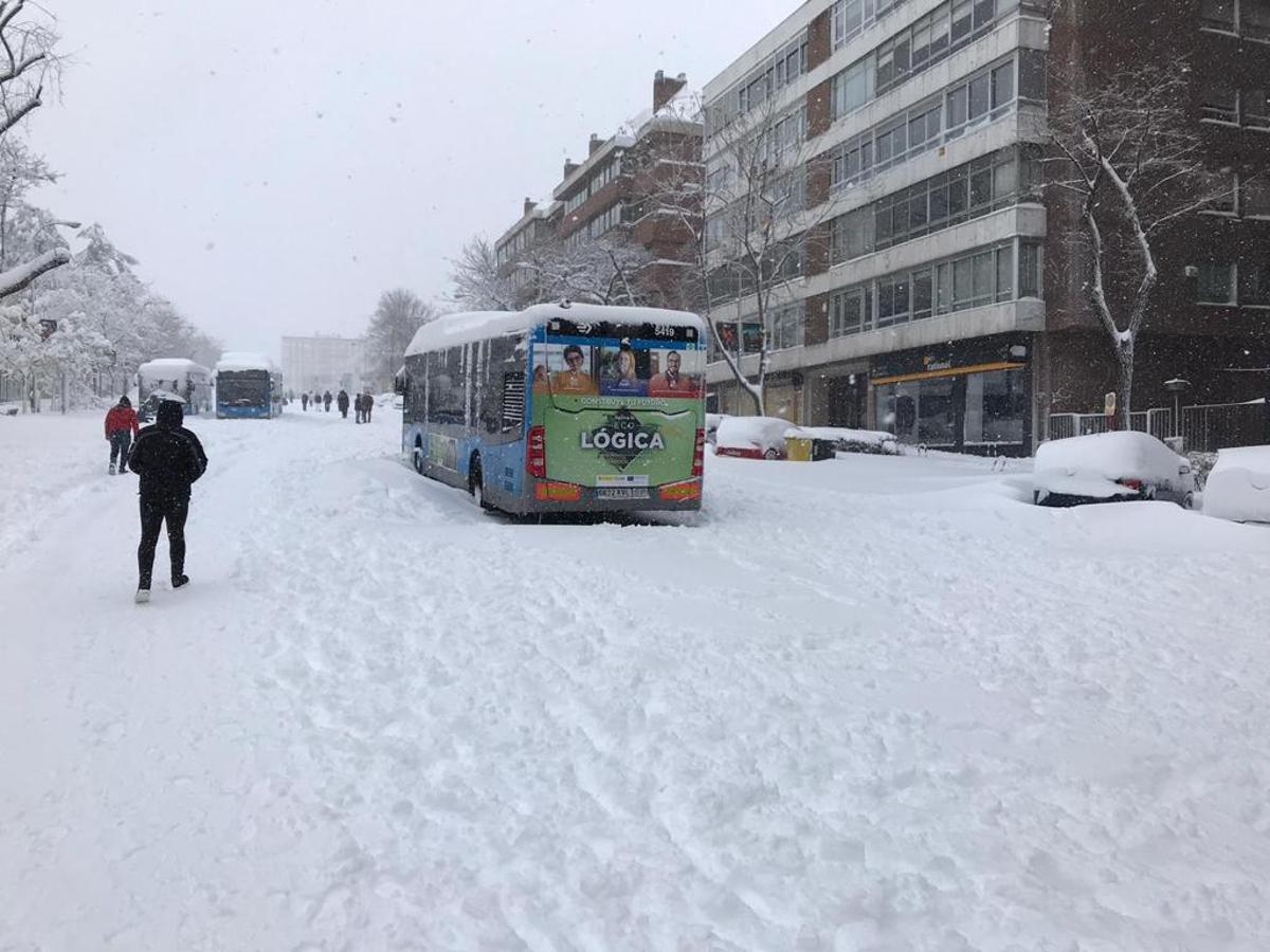 La Castellana, irreconocible. El paseo de la Castellana, esta mañana, mientras continúan la nevada. Varios autobuses de la EMT, que ha suspendido el servicio en toda la capital, continúan varados en la vía, mientras un puñado de ciudadanos pasean por la vía, una de las más concurridas de la ciudad y ahora sepultada bajo un manto blanco.