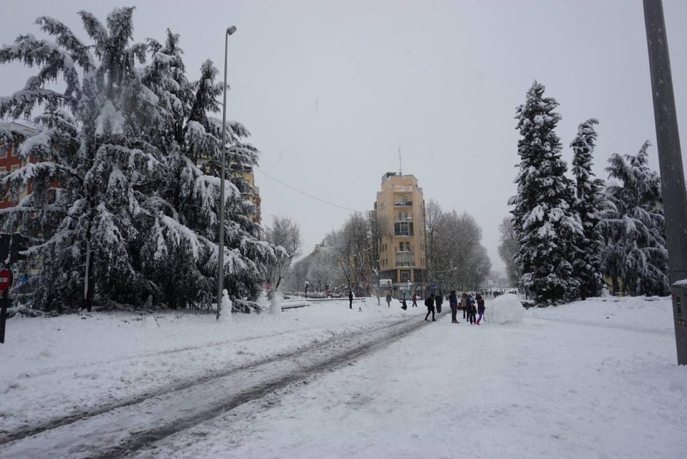 Barrio de Delicias. En la imagen, la glorieta de la Beata María Ana de Jesús, con sus grandes cedros vencidos por la nieve