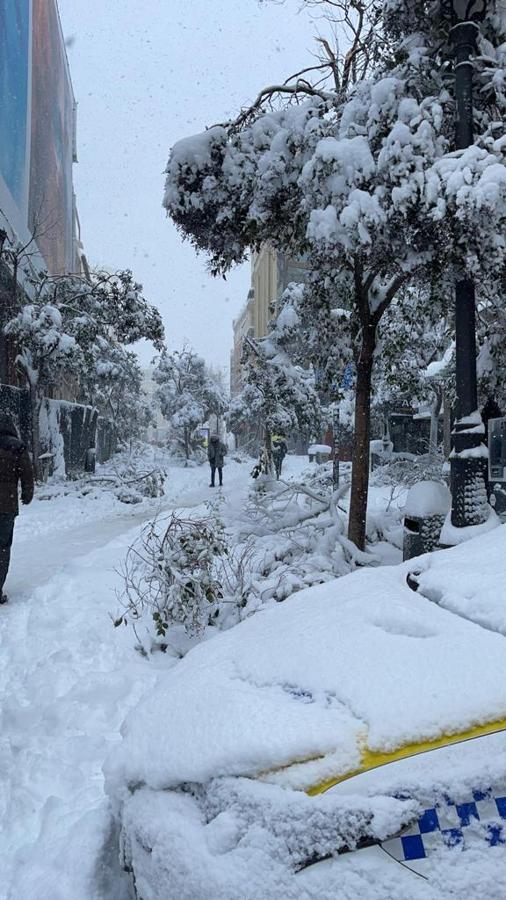 La calle Montera, con árboles caídos. Varios árboles se han caído en la calle Montera, que luce repleta de nieve. Los vehículos policiales apenas se distinguen.