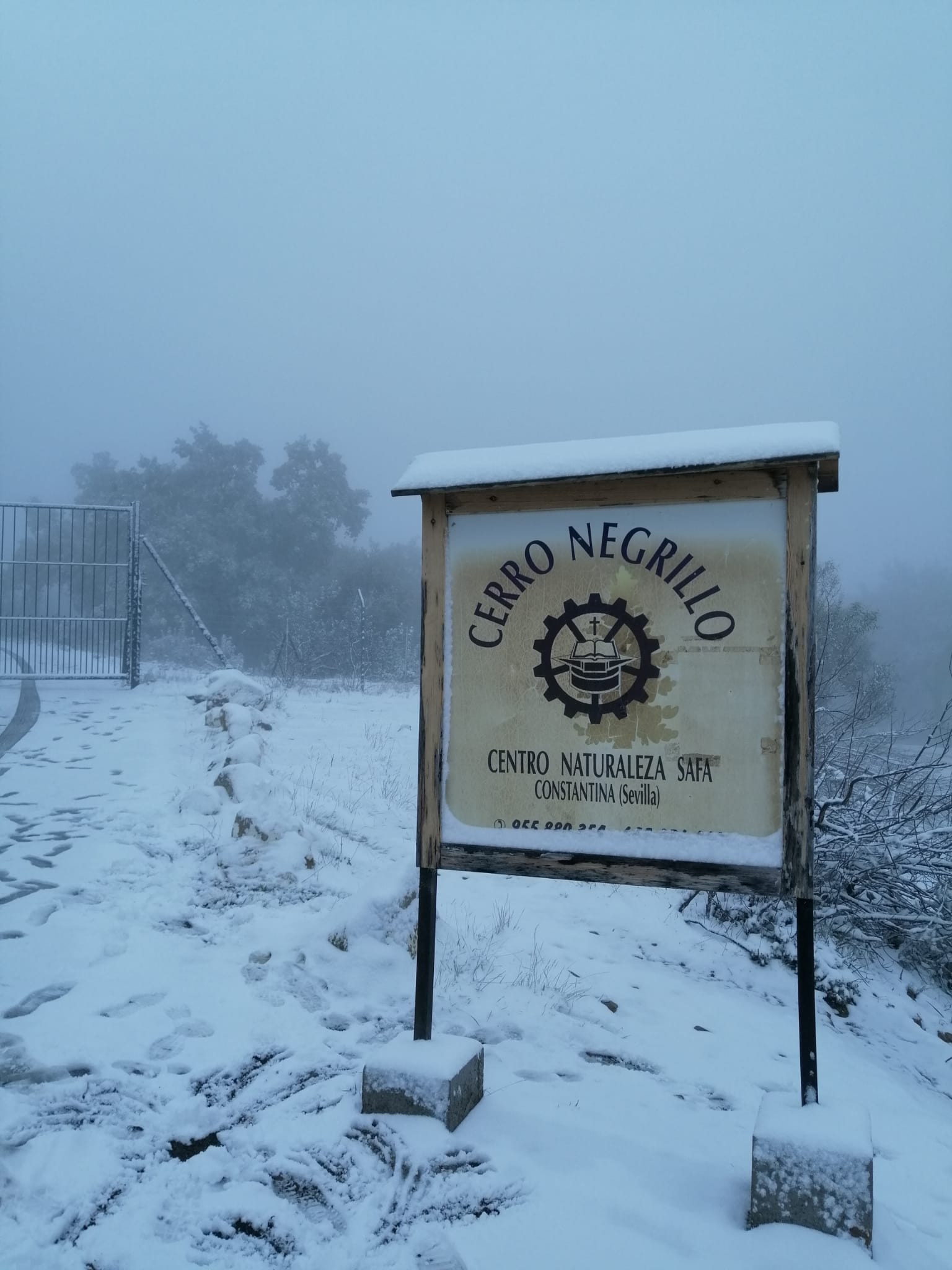 En imágenes, las primeras nevadas en la Sierra Norte de Sevilla