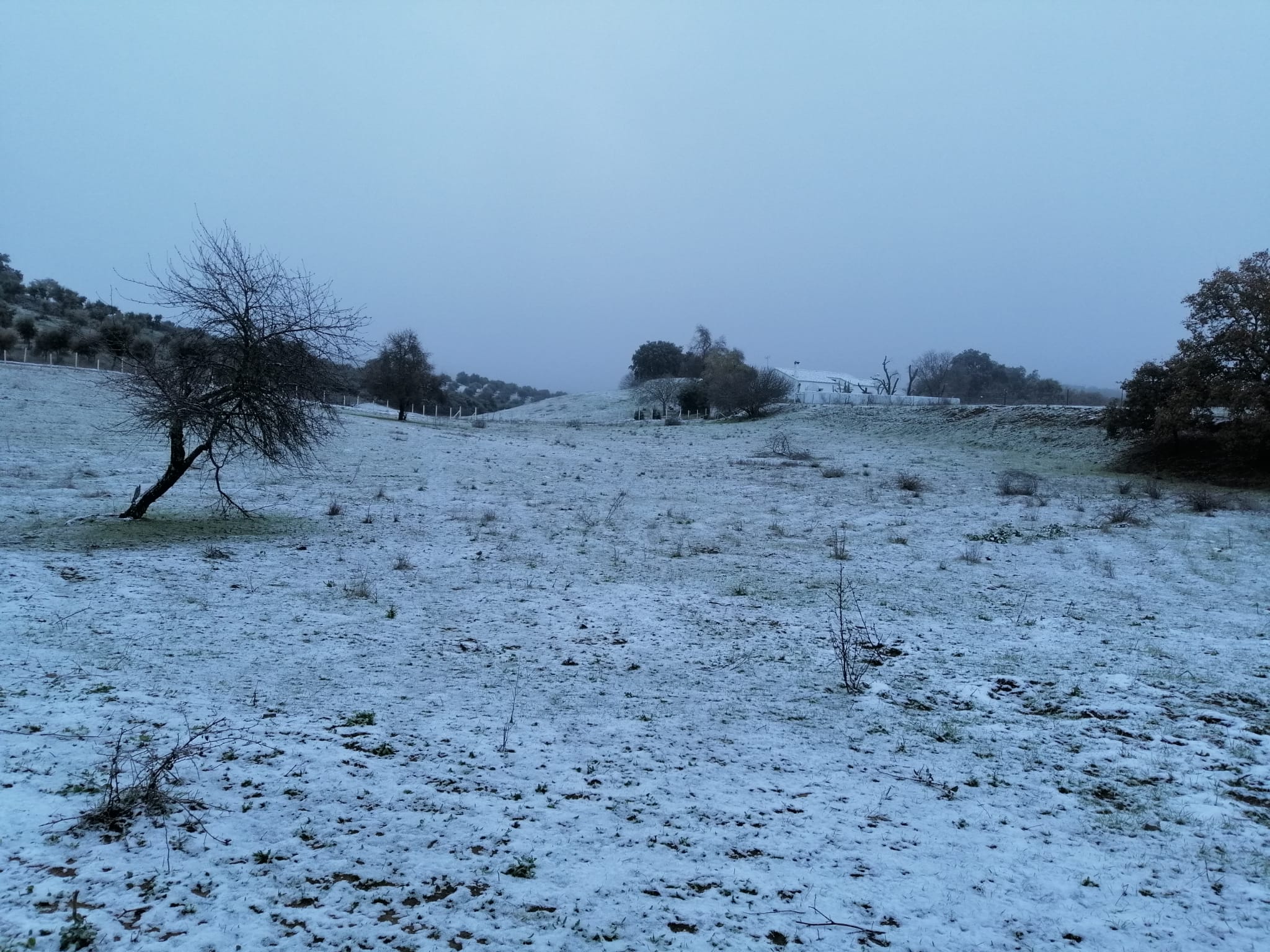 En imágenes, las primeras nevadas en la Sierra Norte de Sevilla