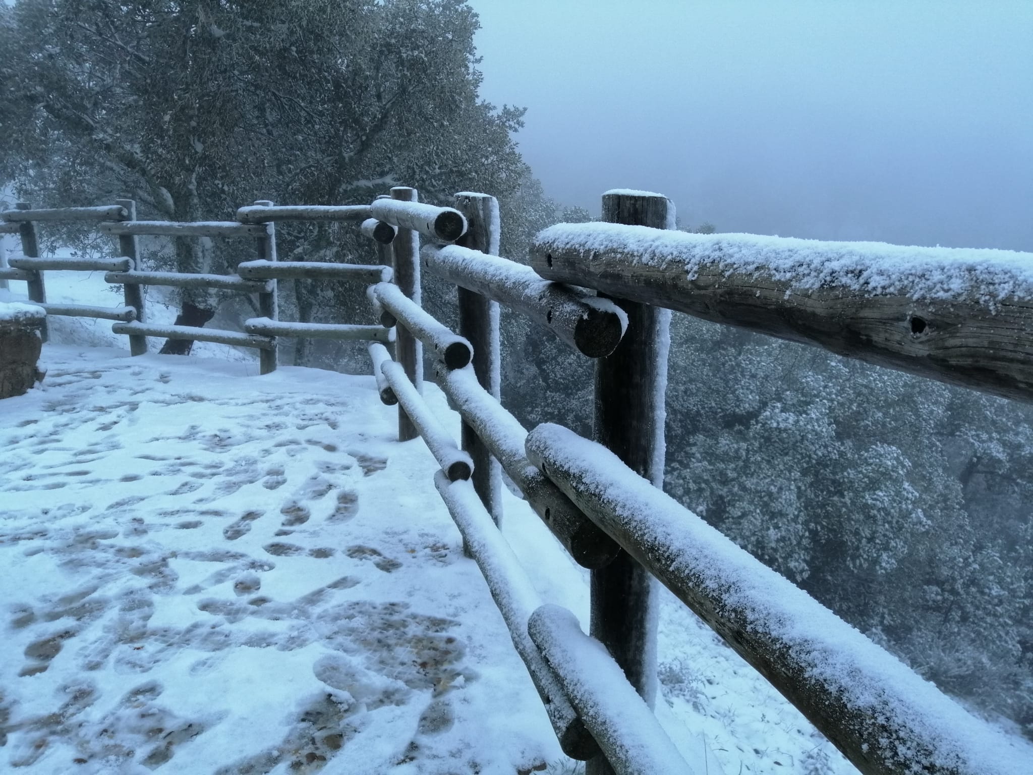 En imágenes, las primeras nevadas en la Sierra Norte de Sevilla
