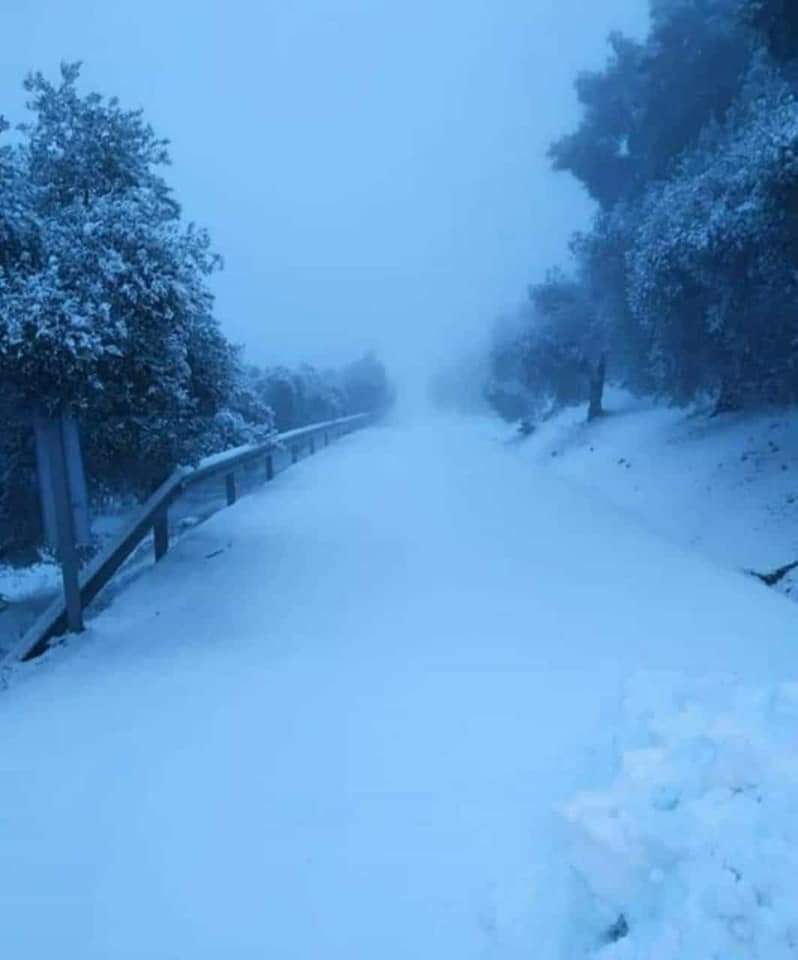 En imágenes, las primeras nevadas en la Sierra Norte de Sevilla