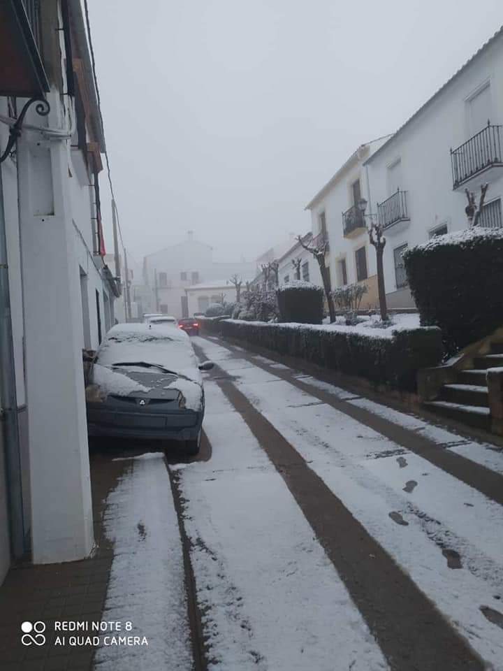 En imágenes, las primeras nevadas en la Sierra Norte de Sevilla