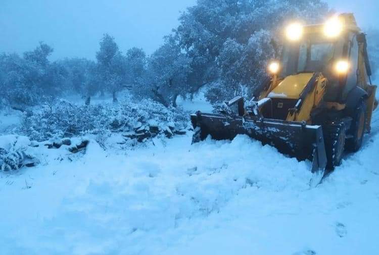 En imágenes, las primeras nevadas en la Sierra Norte de Sevilla