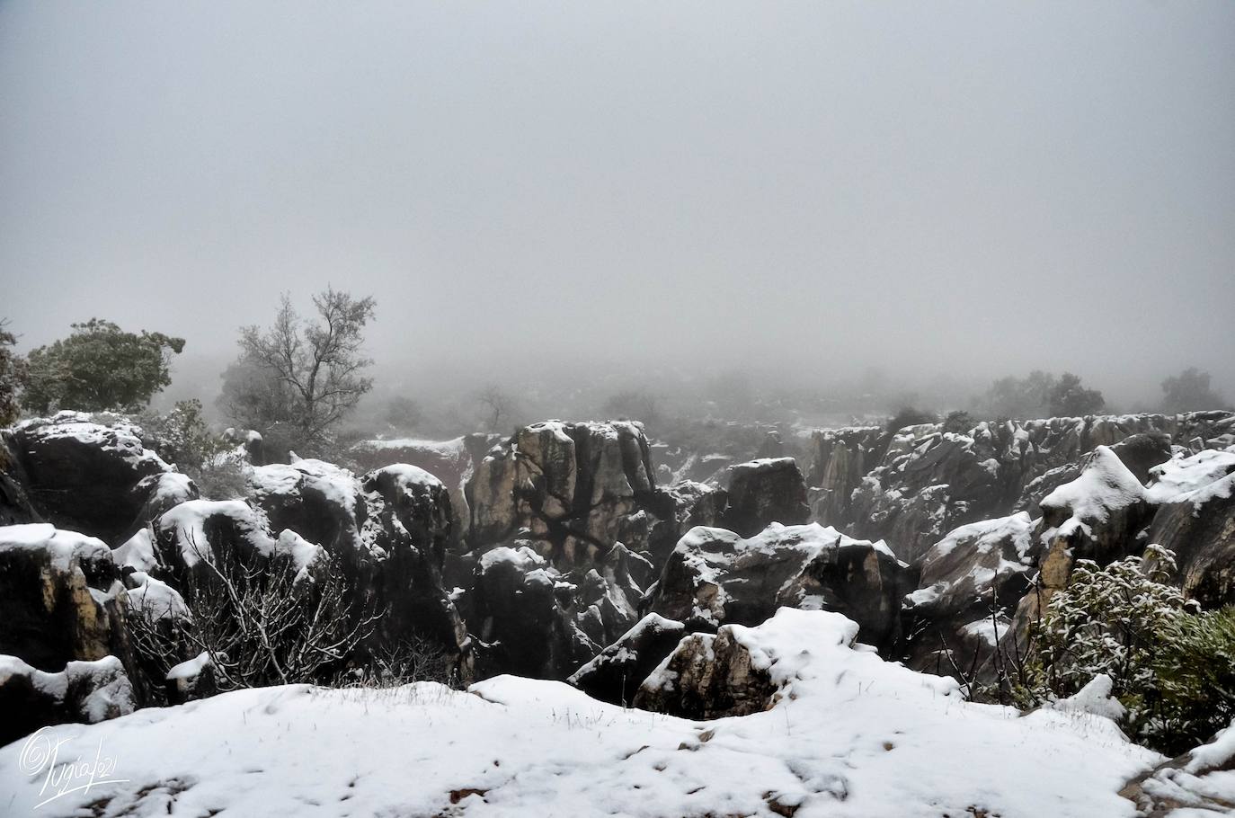 En imágenes, las primeras nevadas en la Sierra Norte de Sevilla