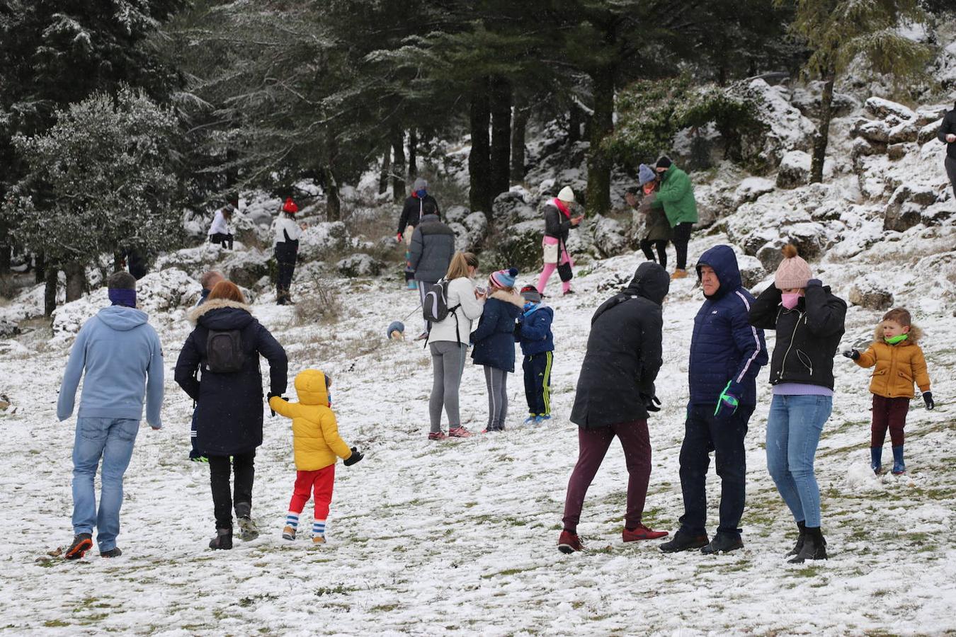 La nieve en la Sierra de Cabra este domingo, en imágenes