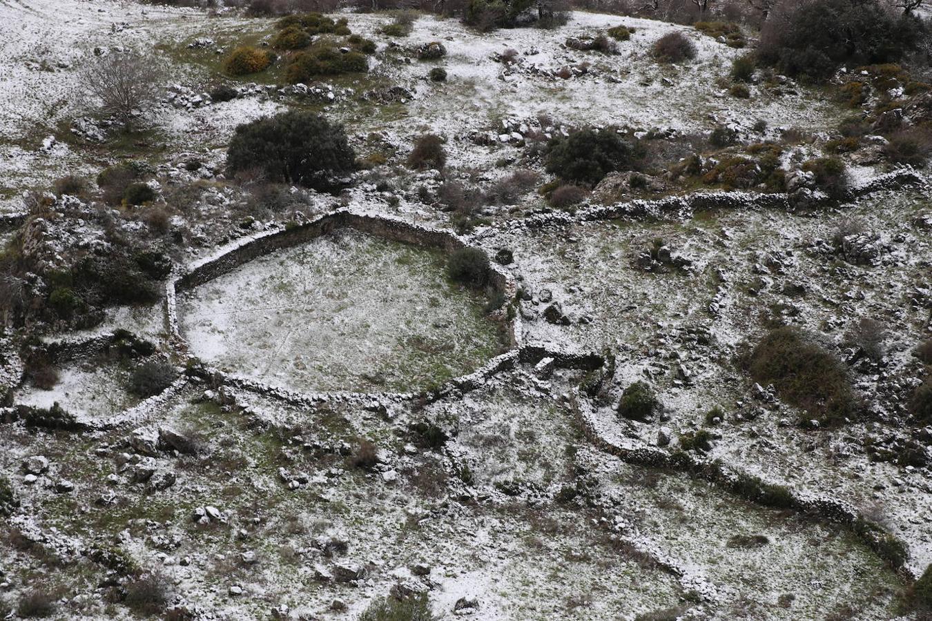 La nieve en la Sierra de Cabra este domingo, en imágenes