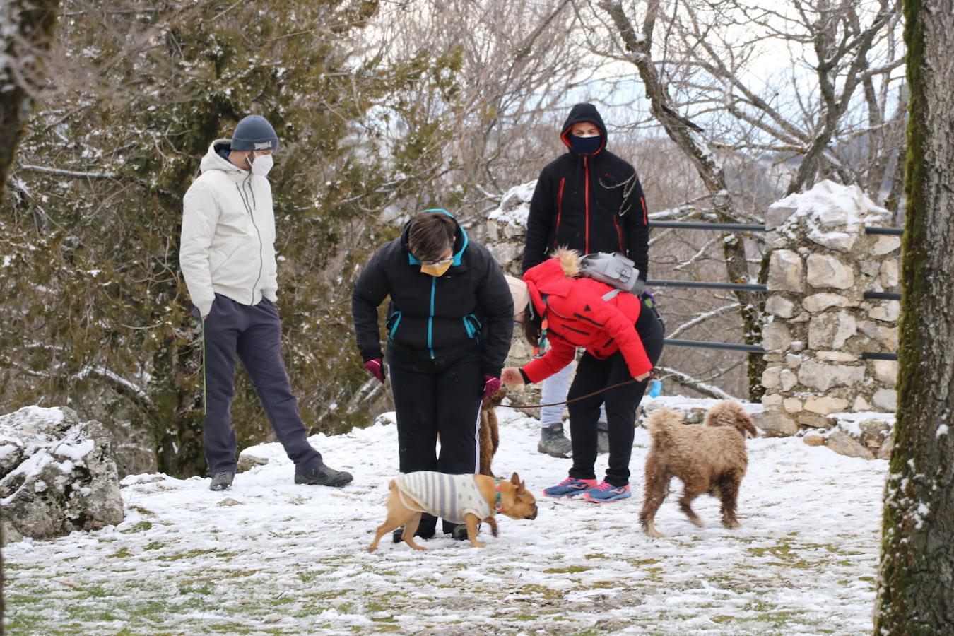 La nieve en la Sierra de Cabra este domingo, en imágenes