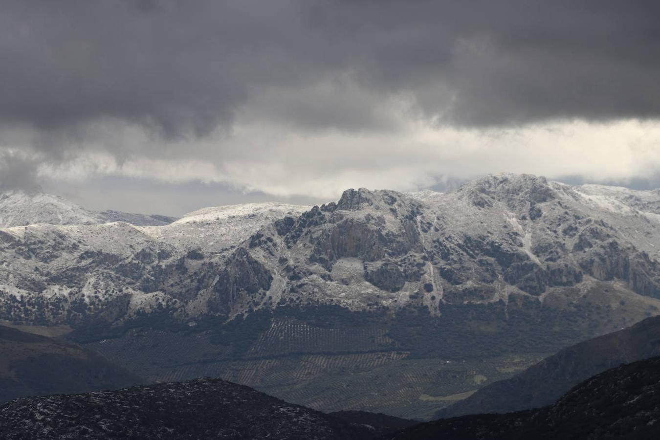 La nieve en la Sierra de Cabra este domingo, en imágenes