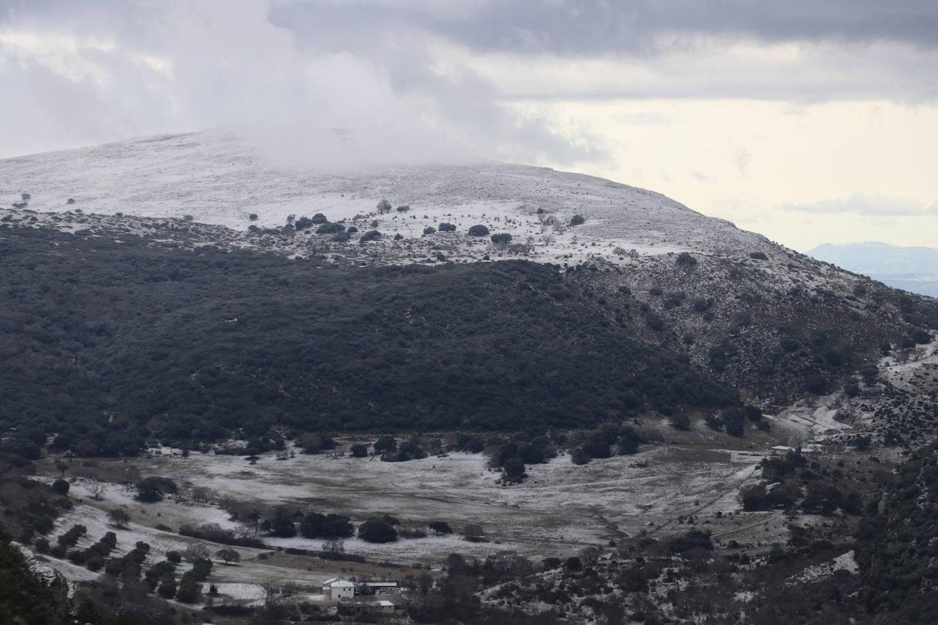 La nieve en la Sierra de Cabra este domingo, en imágenes