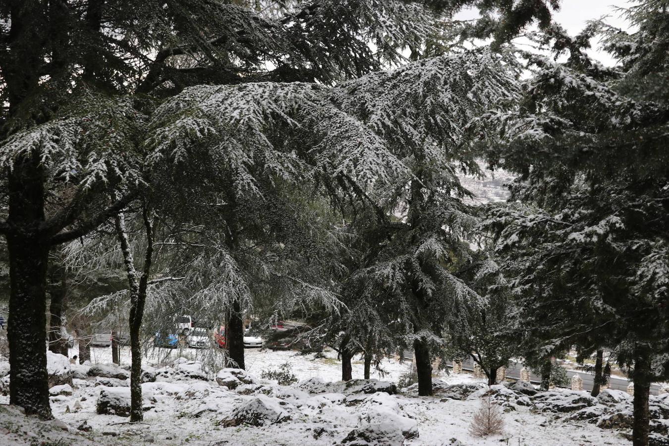 La nieve en la Sierra de Cabra este domingo, en imágenes