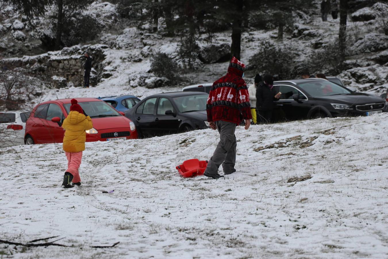 La nieve en la Sierra de Cabra este domingo, en imágenes