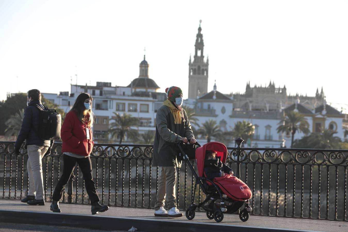 En imágenes: Sevilla, bajo cero