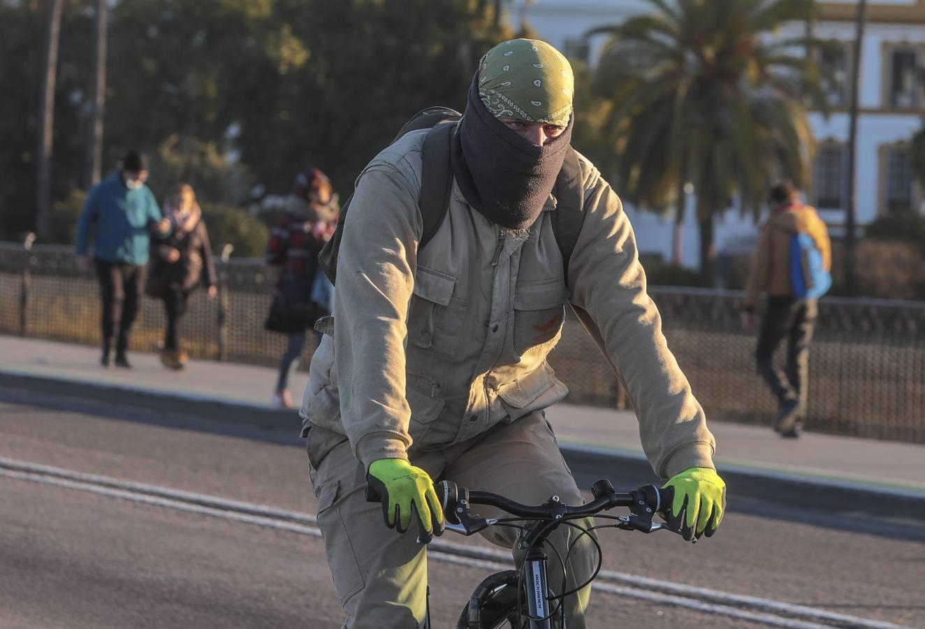 En imágenes: Sevilla, bajo cero