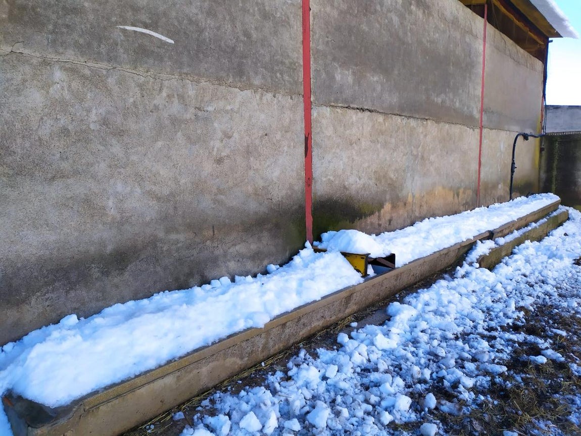 Los estragos de Filomena en el campo español. 