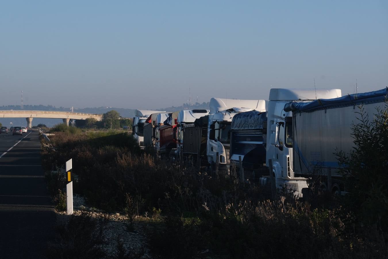 Fotos: Sal de Cádiz para descongelar España