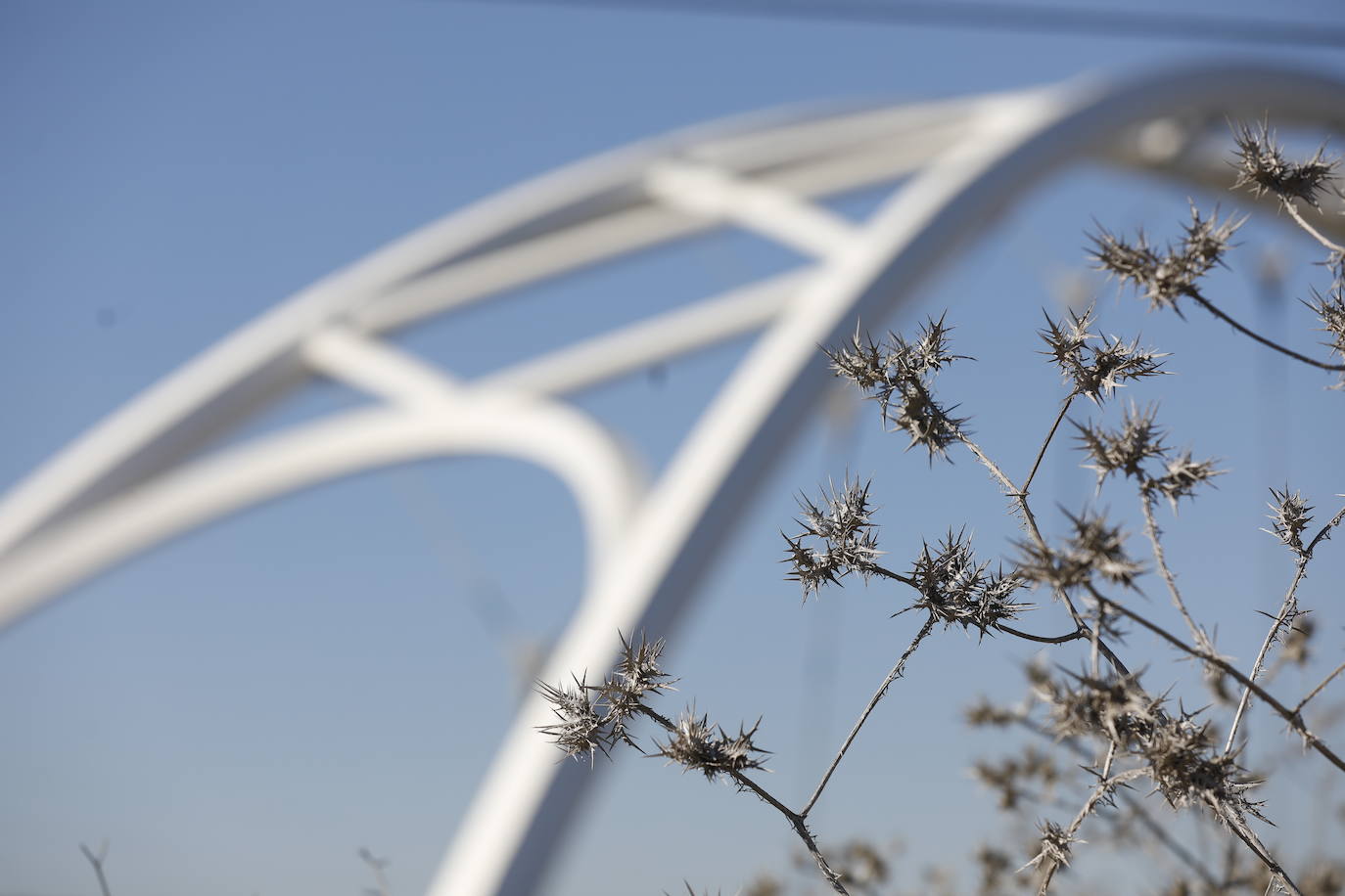 El esbelto aspecto del puente de Ibn Firnás de Córdoba que cumple 10 años, en imágenes