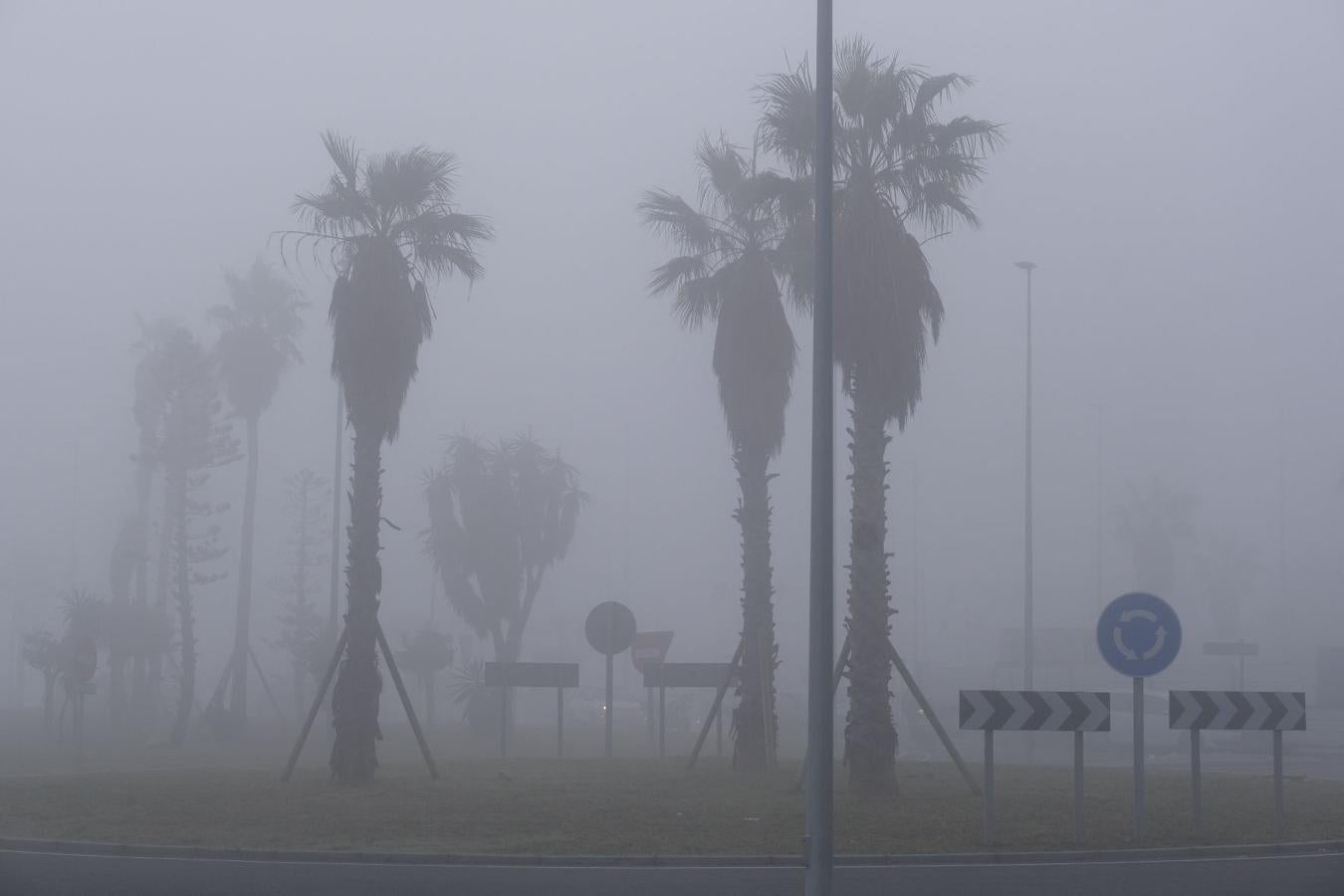 Cádiz, la bahía fantasma