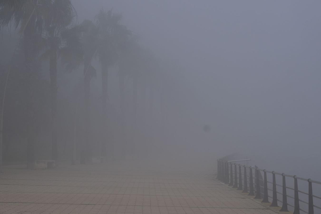 Cádiz, la bahía fantasma