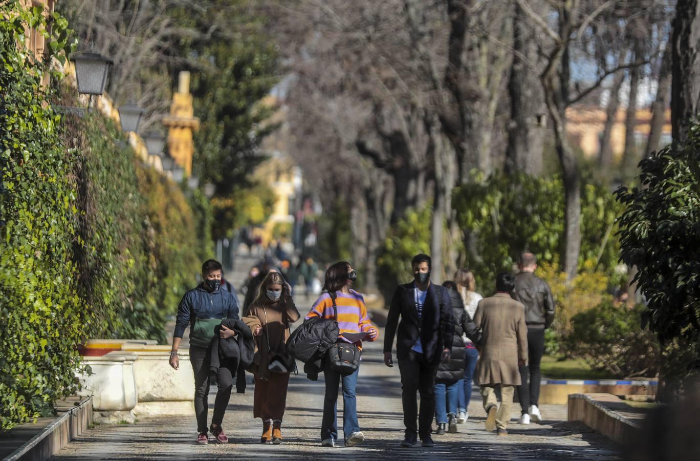 En imágenes, los sevillanos disfrutan del sábado antes de las nuevas restricciones