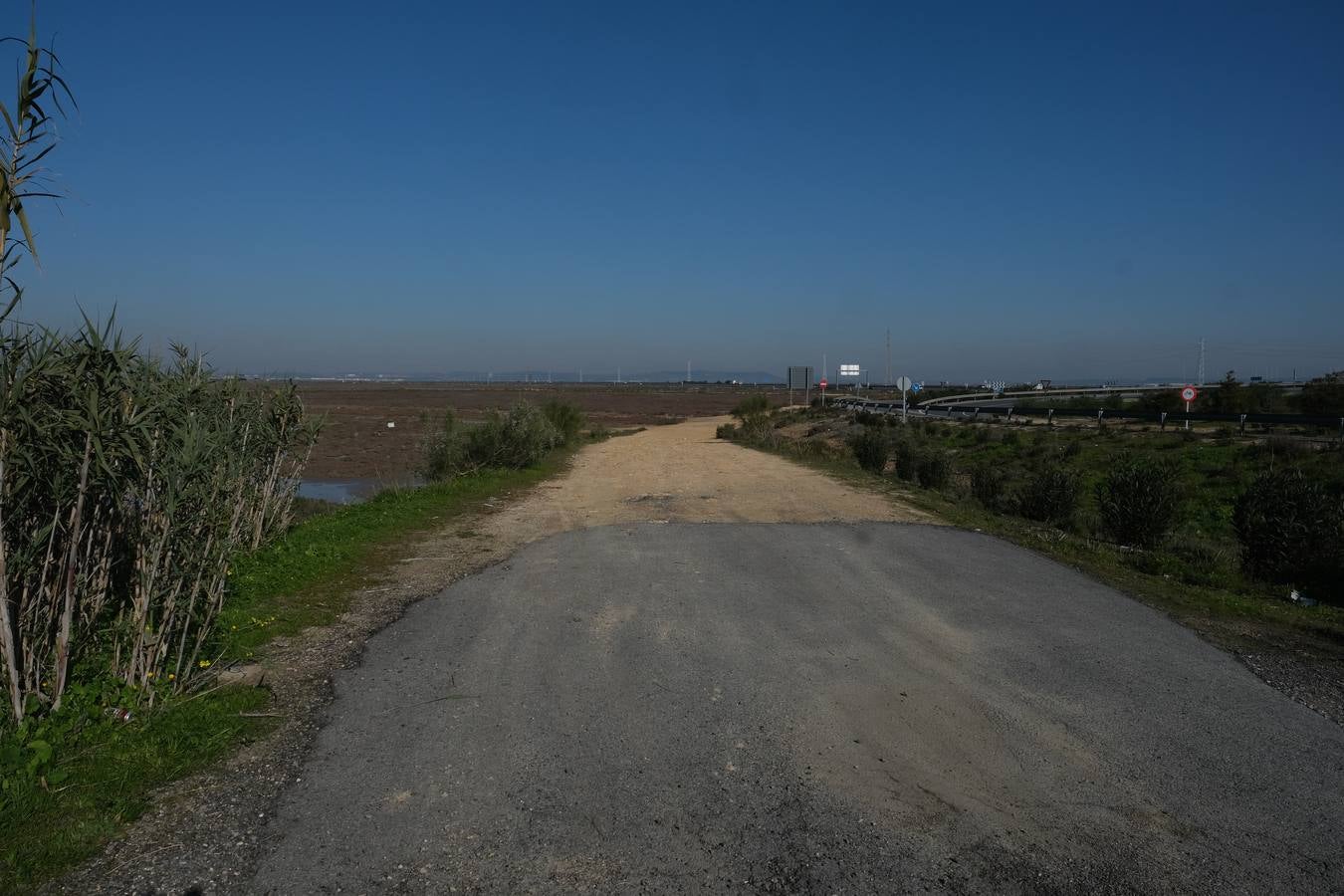 FOTOS: La Bahía concentra cuatro polos de atracción para captar inversiones y reactivar el empleo