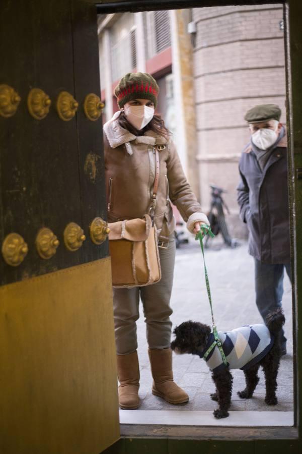 Bendición de animales por San Antón en Sevilla