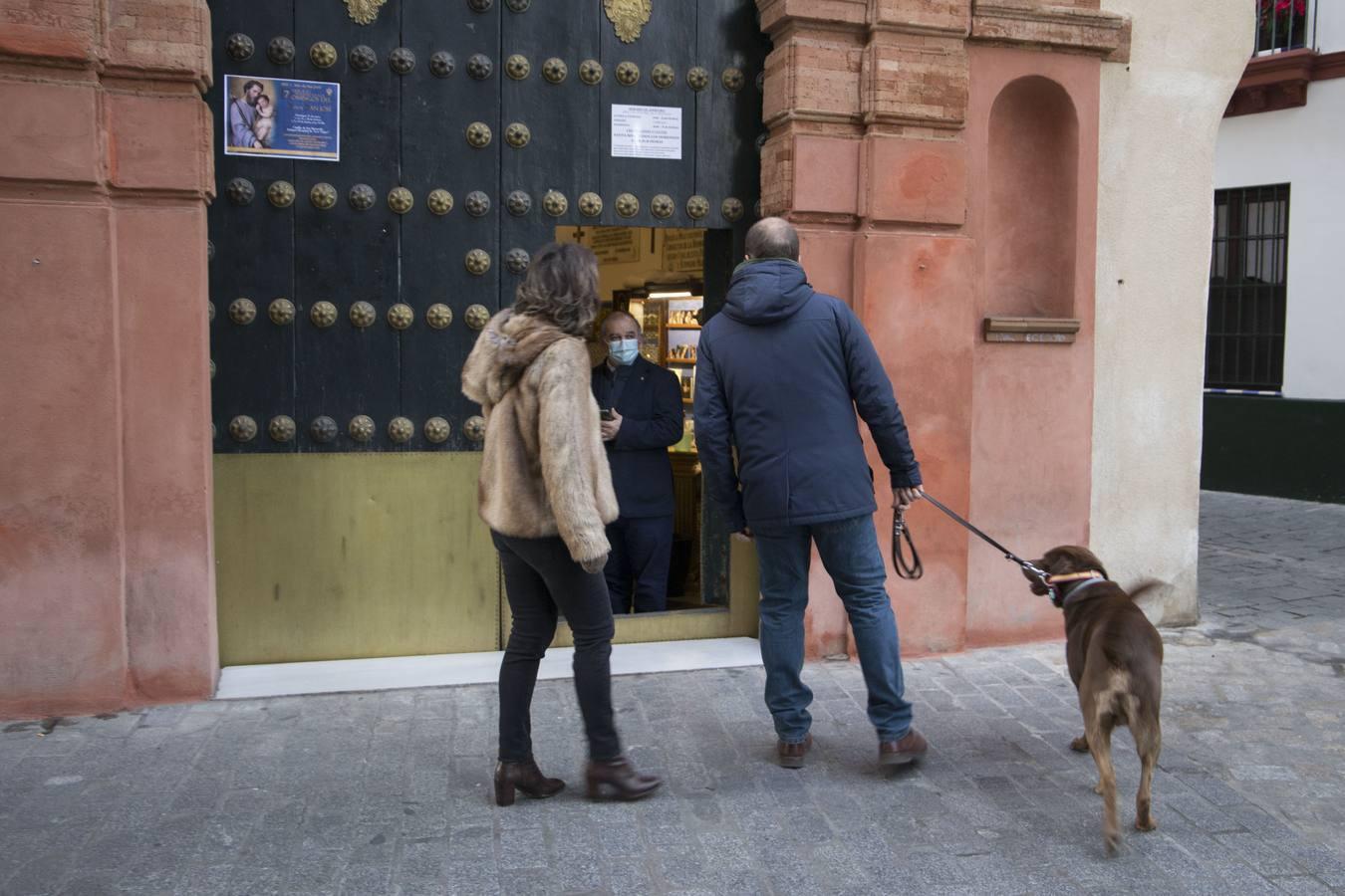 Bendición de animales por San Antón en Sevilla