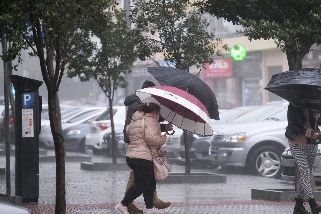 El temporal de lluvia en Cádiz, en imágenes