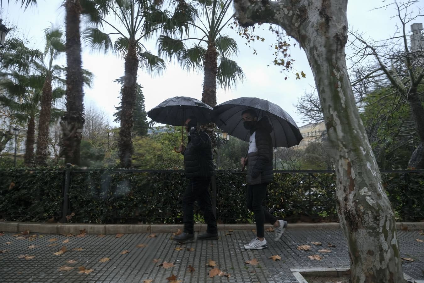 El temporal de lluvia en Cádiz, en imágenes