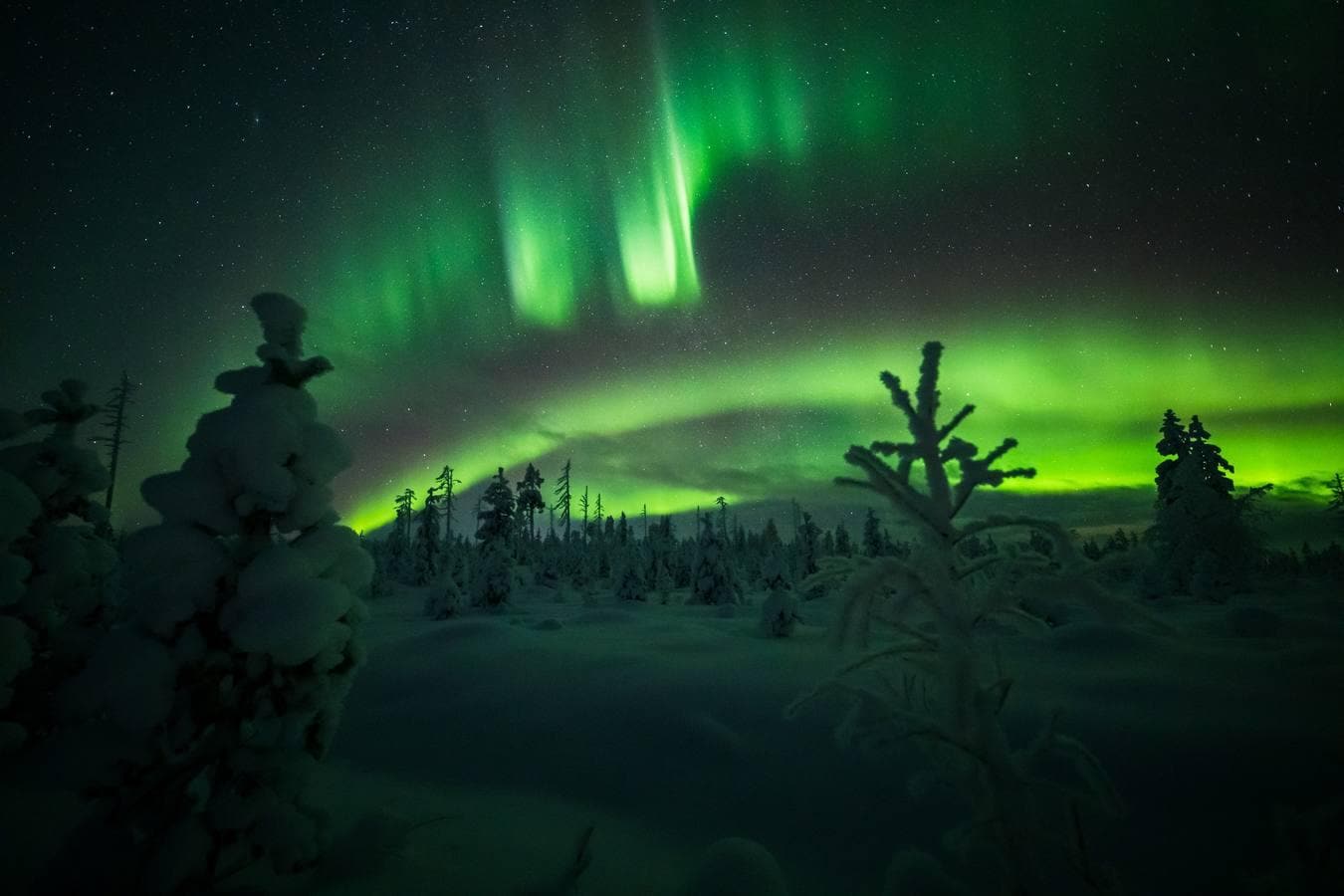 Espectaculares imágenes de las auroras boreales en los cielos de Finlandia