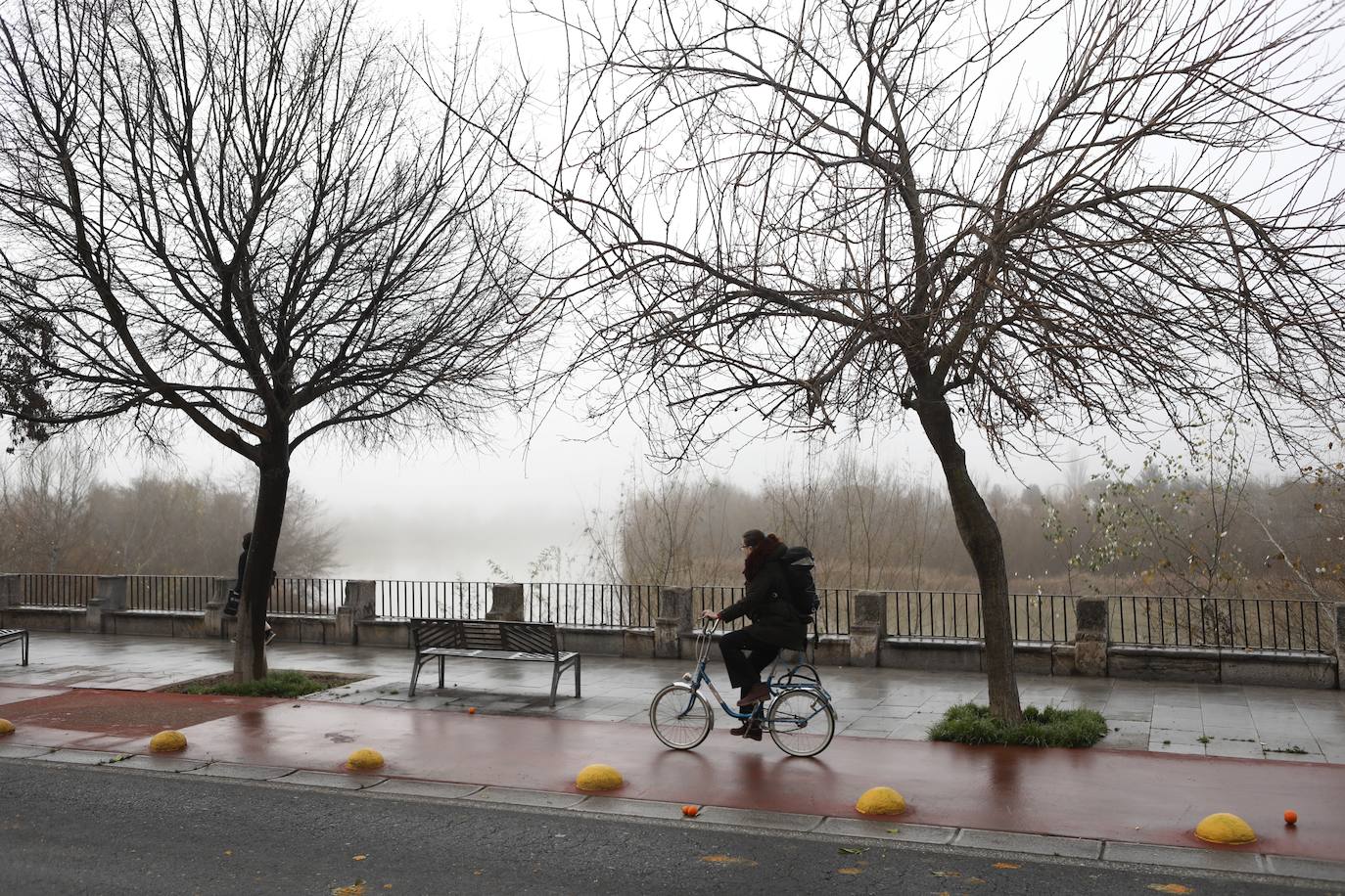 En imágenes, la mañana de niebla en Córdoba