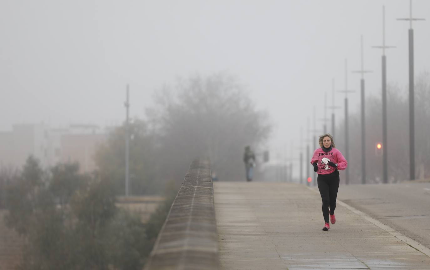 En imágenes, la mañana de niebla en Córdoba