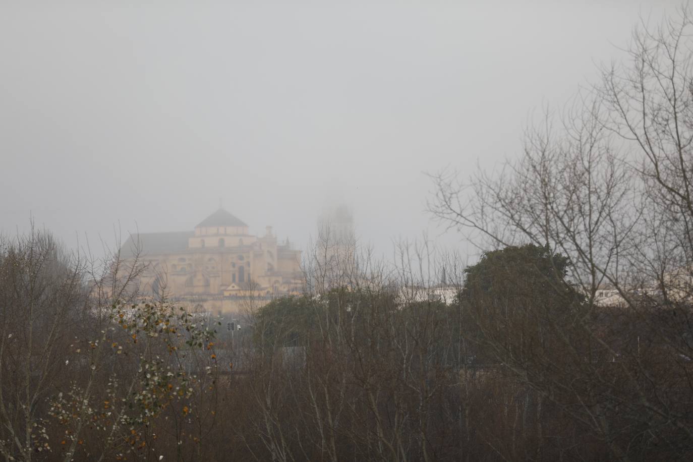 En imágenes, la mañana de niebla en Córdoba