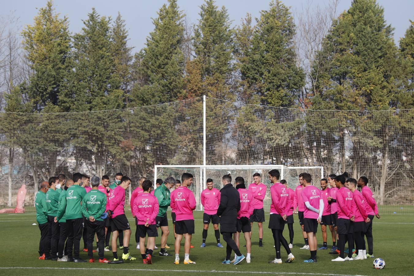 El primer entrenamiento de Alberto Ródenas con el Córdoba CF, en imágenes