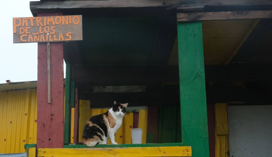 FOTOS: La Casería, el desahucio de «la casa de todos»