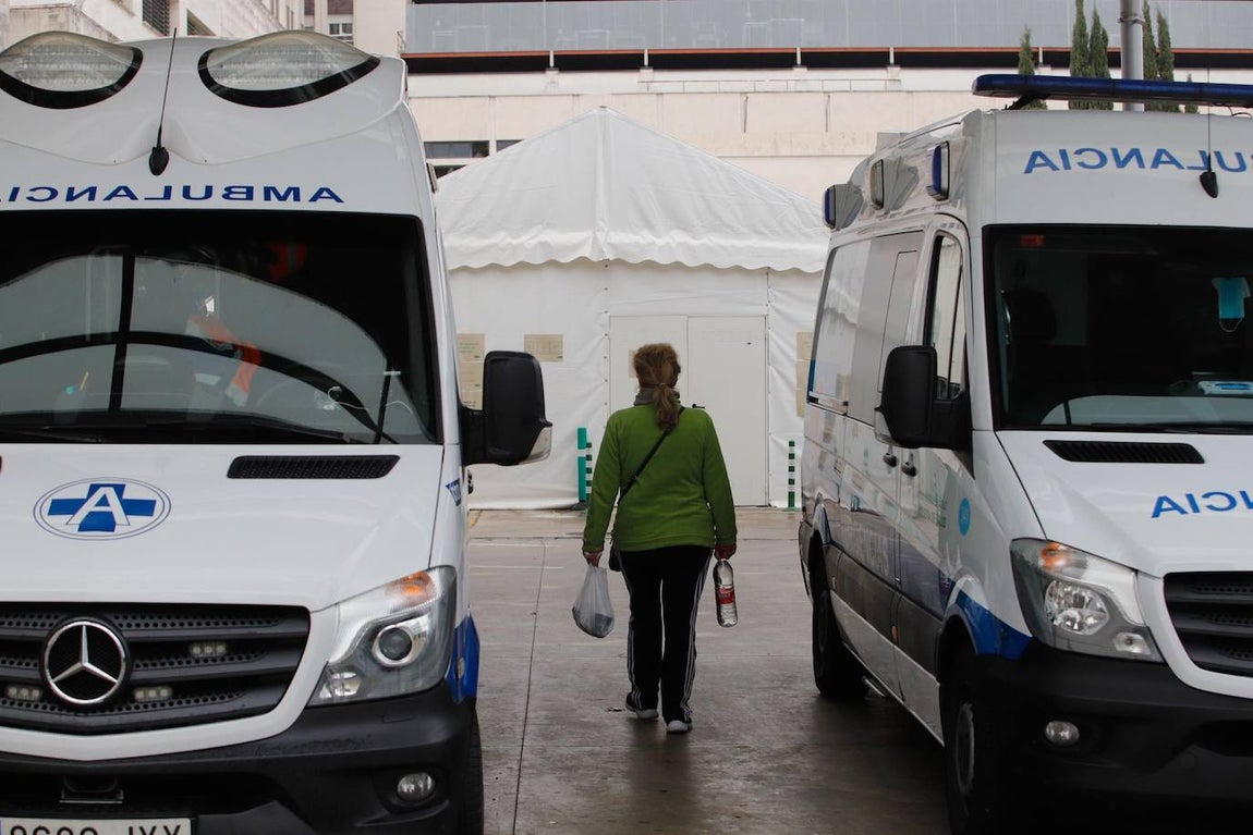 La alta actividad del Reina Sofía de Córdoba por el Covid-19, en imágenes
