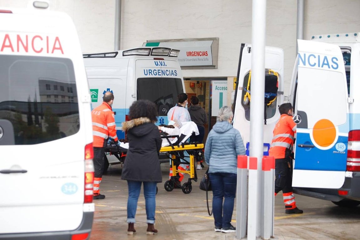 La alta actividad del Reina Sofía de Córdoba por el Covid-19, en imágenes