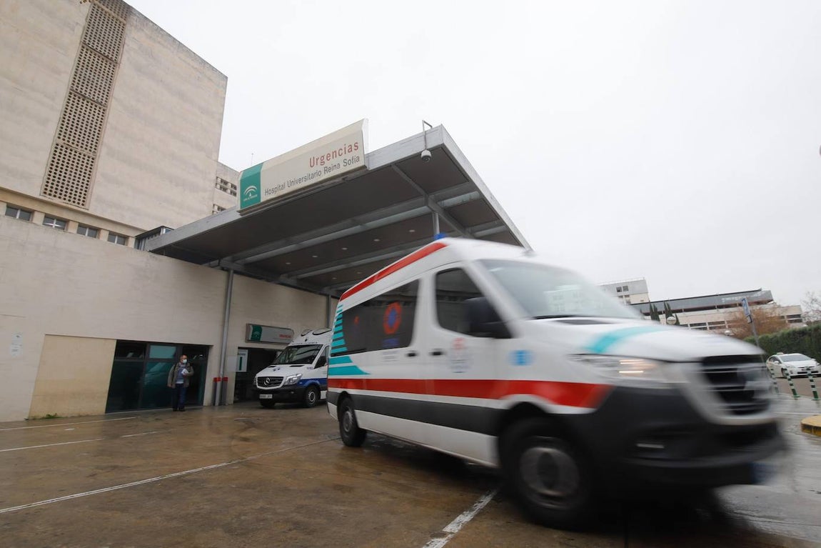 La alta actividad del Reina Sofía de Córdoba por el Covid-19, en imágenes