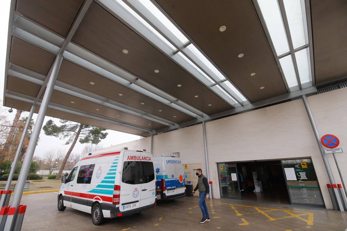 La alta actividad del Reina Sofía de Córdoba por el Covid-19, en imágenes