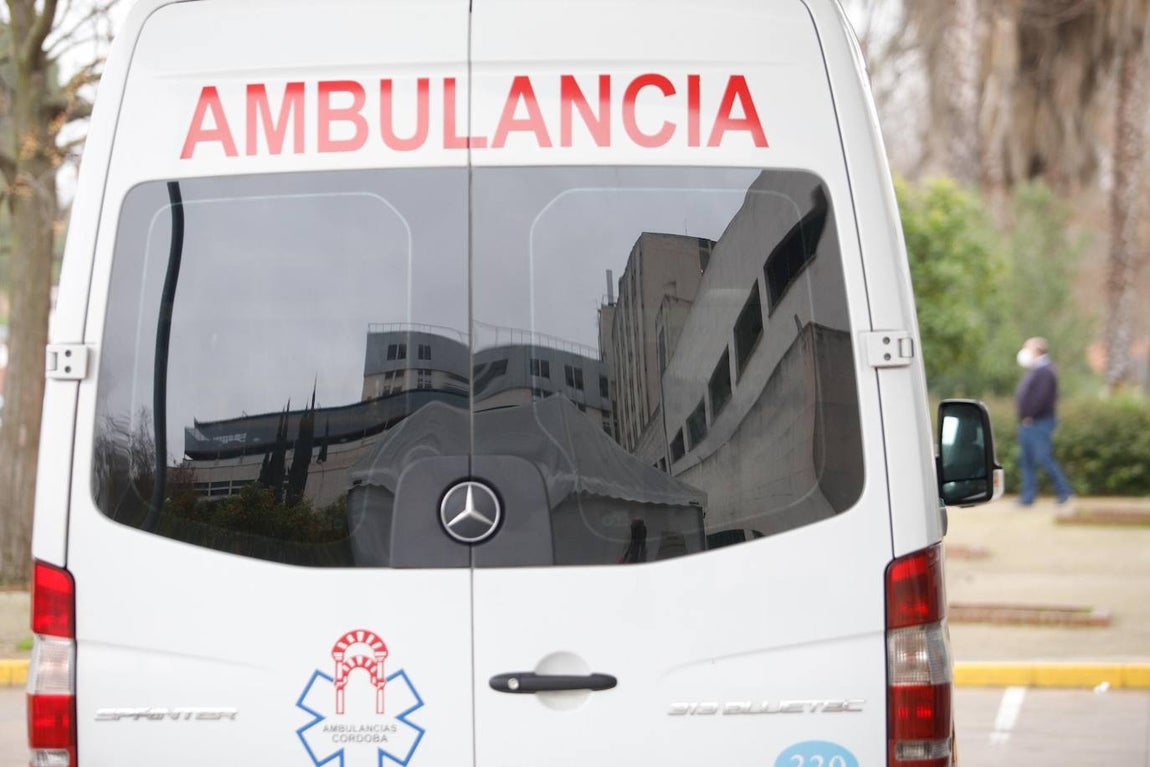 La alta actividad del Reina Sofía de Córdoba por el Covid-19, en imágenes