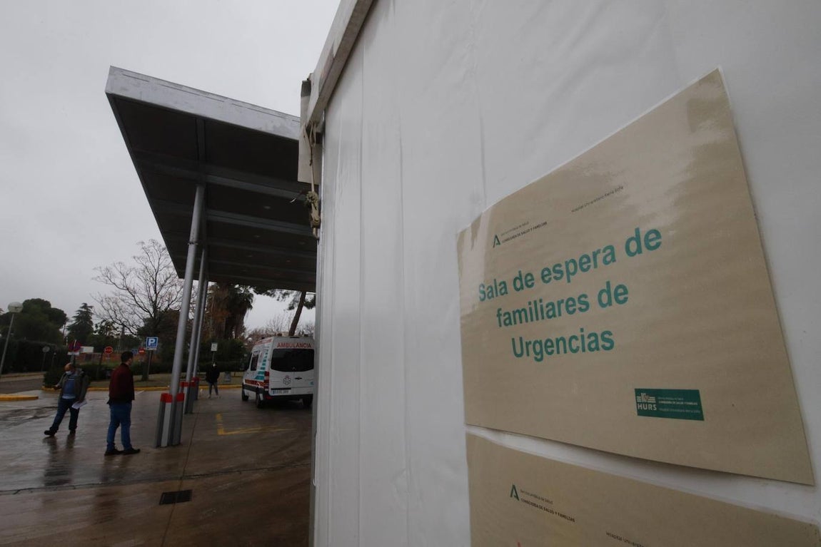 La alta actividad del Reina Sofía de Córdoba por el Covid-19, en imágenes