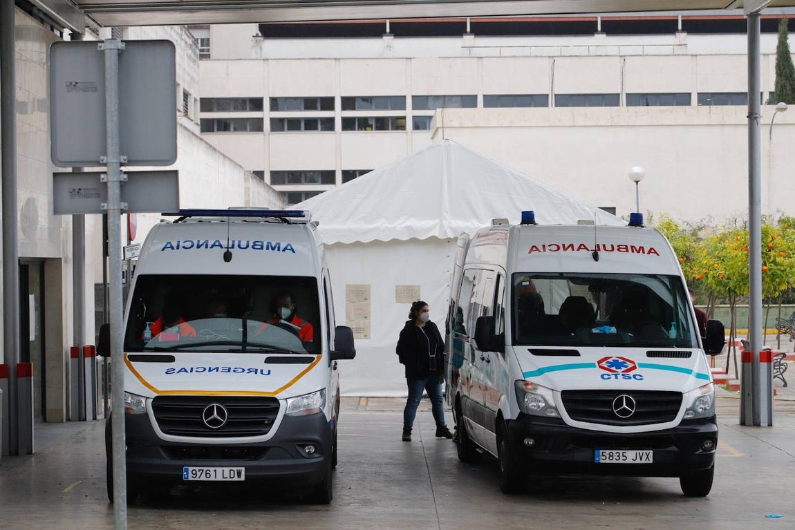 La alta actividad del Reina Sofía de Córdoba por el Covid-19, en imágenes