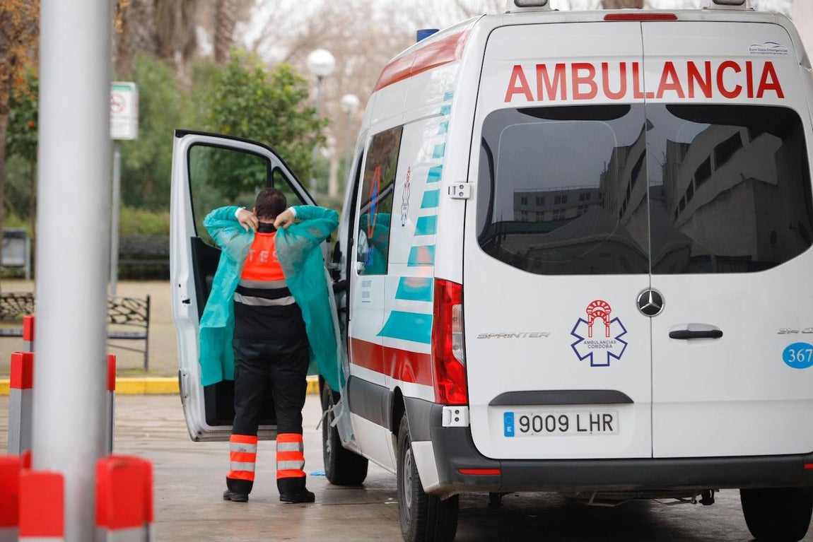 La alta actividad del Reina Sofía de Córdoba por el Covid-19, en imágenes