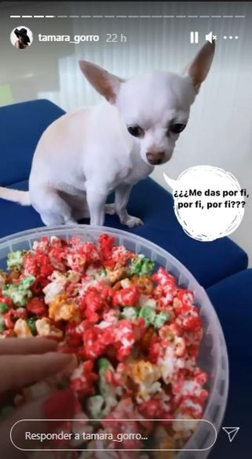 El finde casero de Tamara Gorro. Ha aprovechado para jugar con sus hijos y también para descansar en el sofá, como ha contado en su cuenta de Instagram