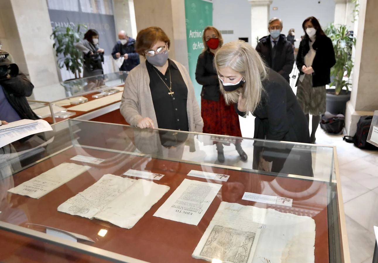 Una exposición desvela con documentos históricos la lucha contra las epidemias en la Sevilla del siglo XIX